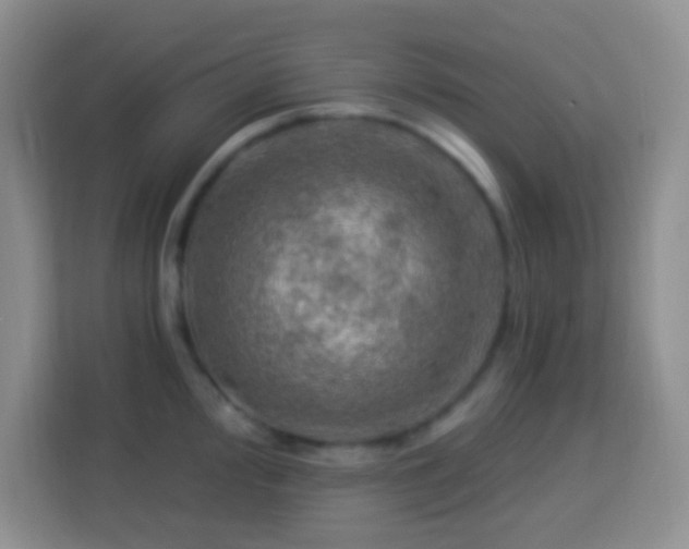 X0000114081000200910051355