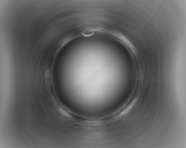 X0000114081001200910051355