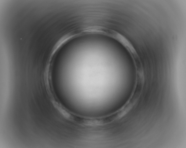 X0000114081002200910051355