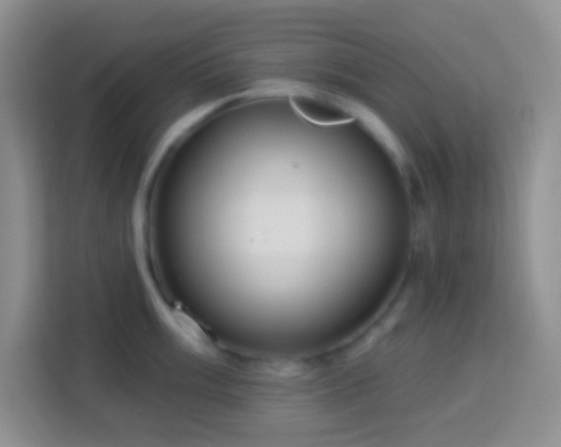 X0000114081003200910051355