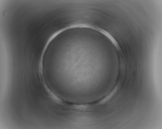 X0000114081004200910051355