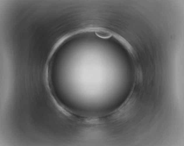 X0000114081006200910051355