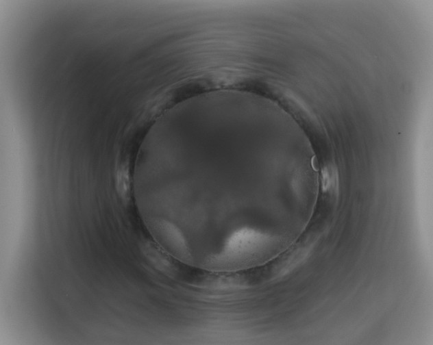 X0000114081011200910051354