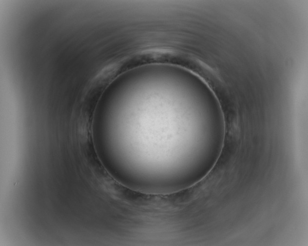 X0000114081014200910051354