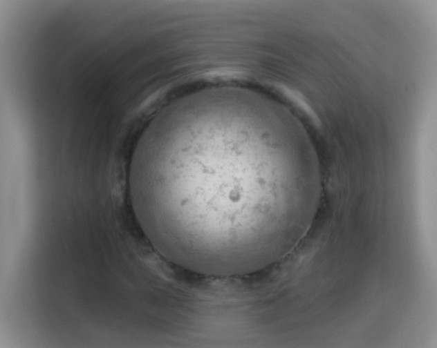 X0000114081015200910051354