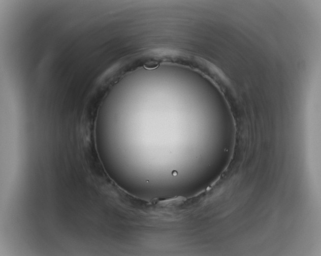 X0000114081016200910051354