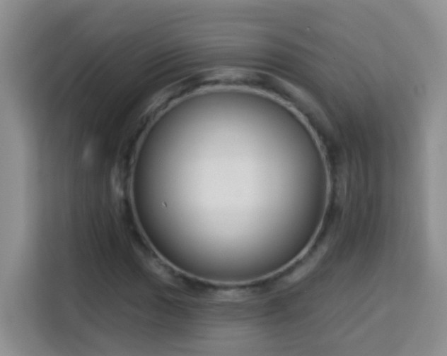 X0000114081017200910051354