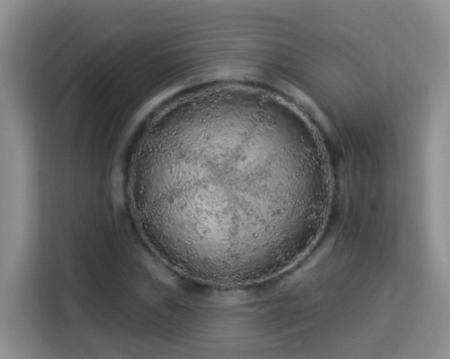 X0000114081019200910051354