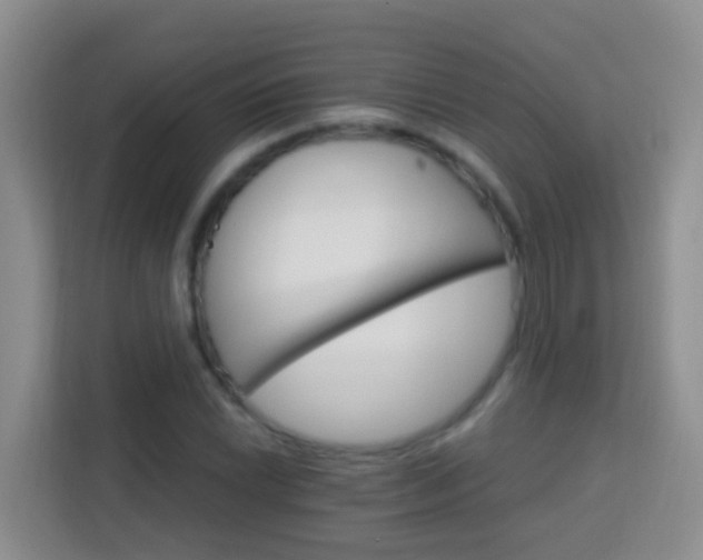 X0000114081022200910051354