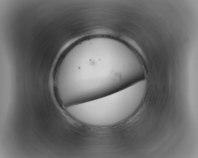 X0000114081024200910051354