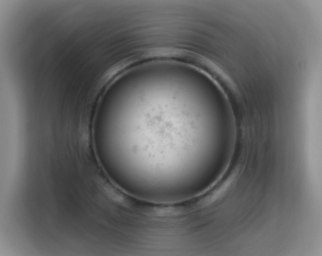 X0000114081025200910051354