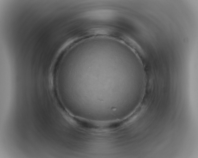 X0000114081027200910051354