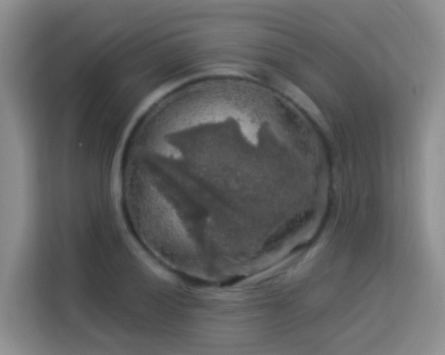 X0000114081028200910051354