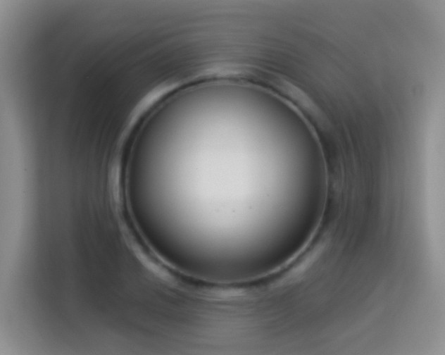 X0000114081030200910051354