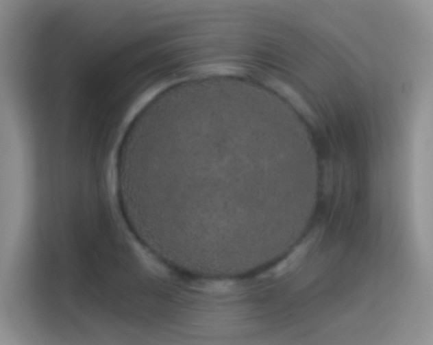 X0000114081031200910051354