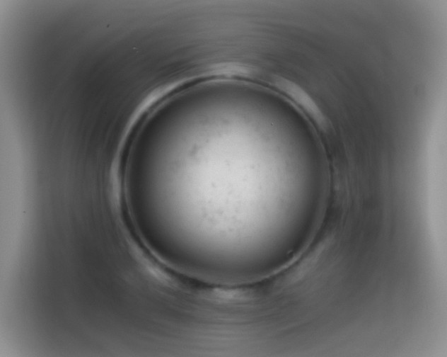 X0000114081032200910051354