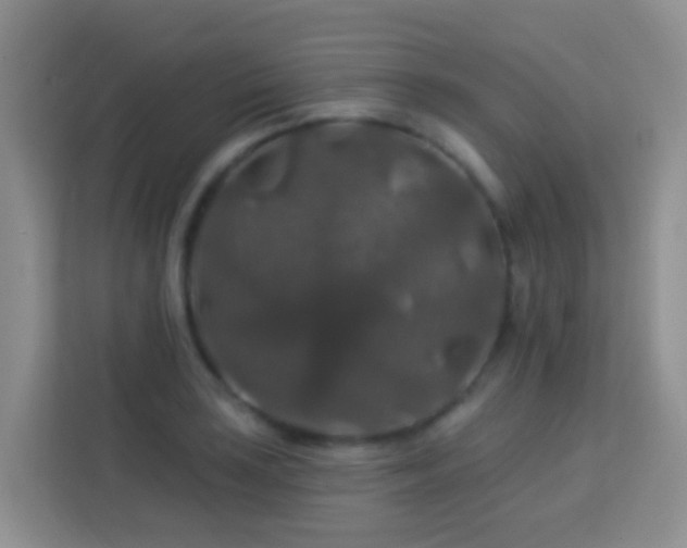 X0000114081035200910051354