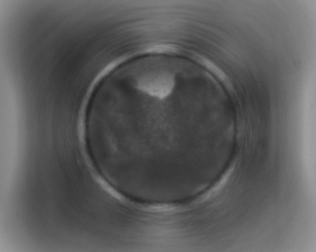 X0000114081037200910051354