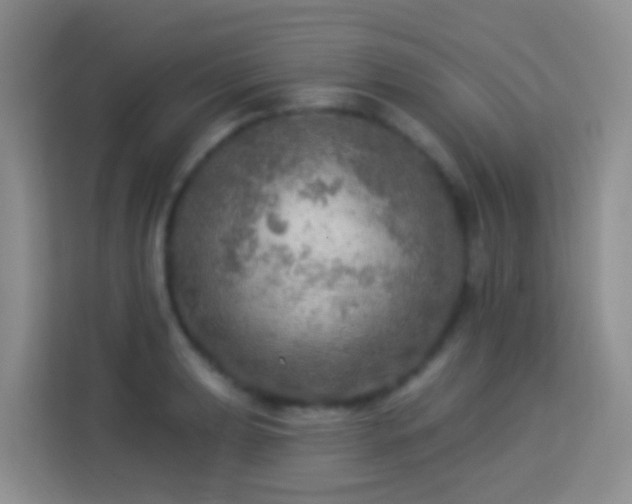 X0000114081039200910051354