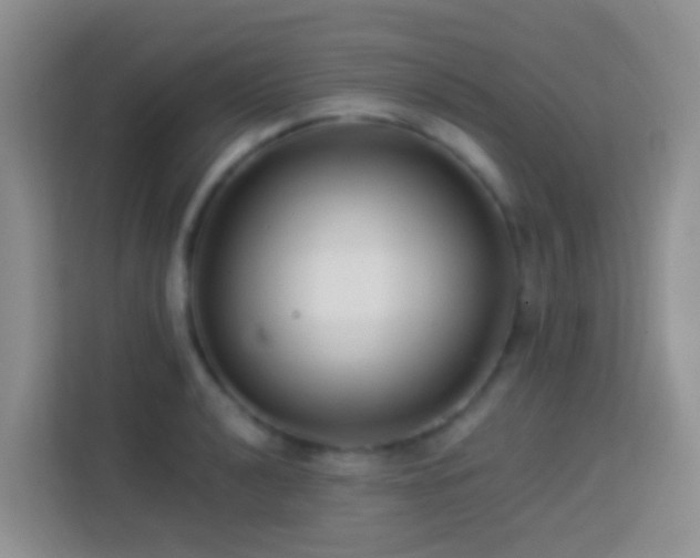 X0000114081040200910051354