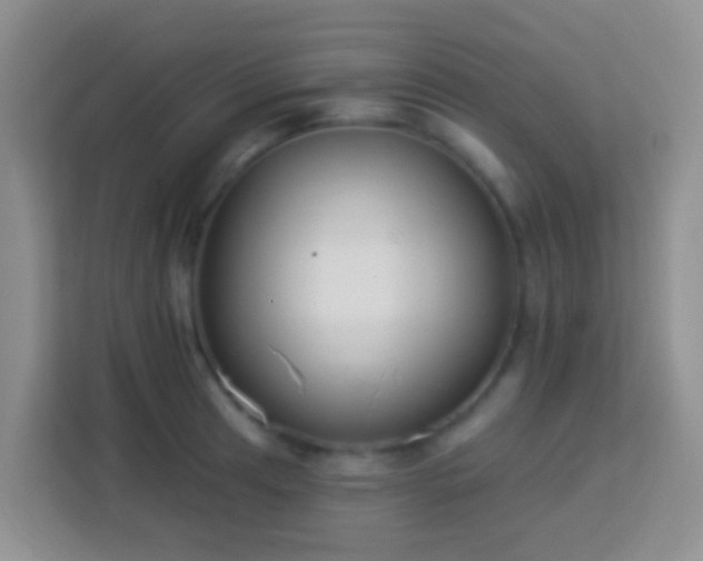 X0000114081041200910051354