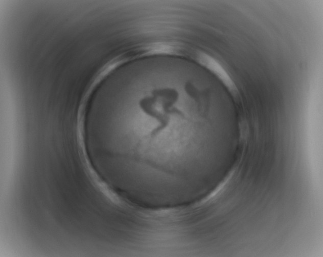 X0000114081043200910051354