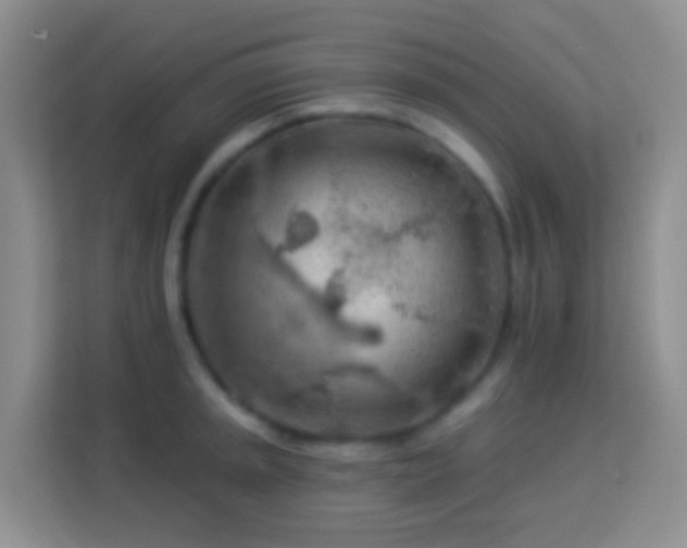 X0000114081045200910051354