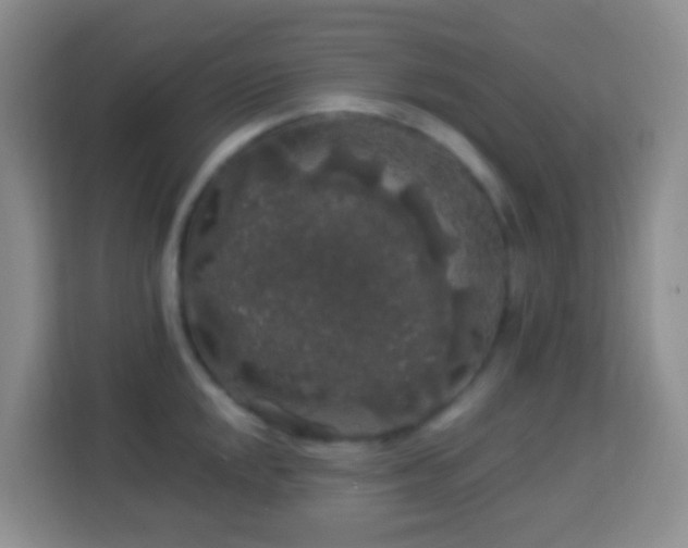 X0000114081048200910051354