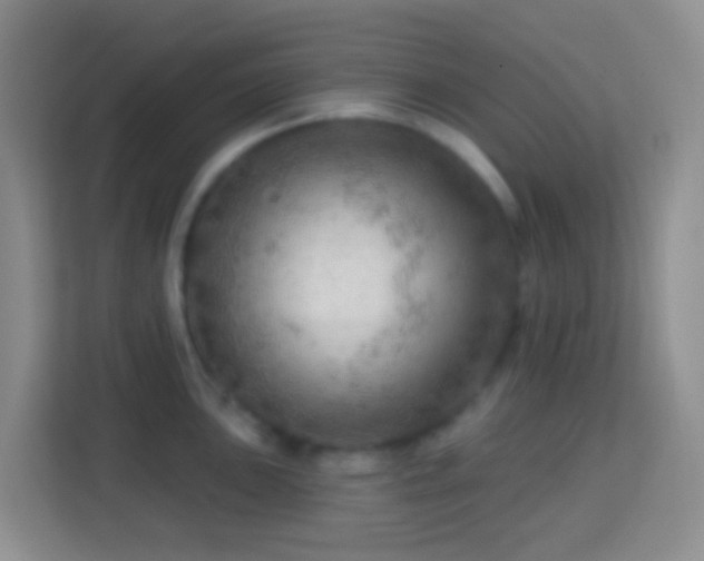 X0000114081051200910051354