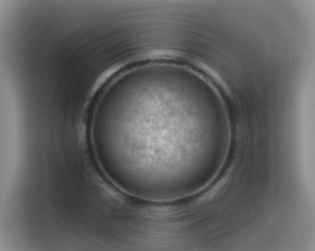 X0000114081066200910051354