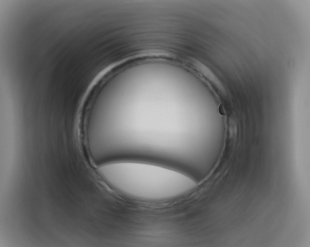 X0000114081068200910051354