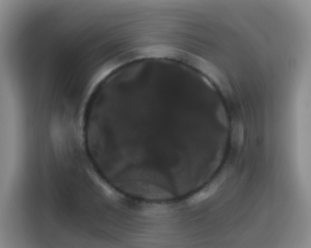 X0000114081071200910051354