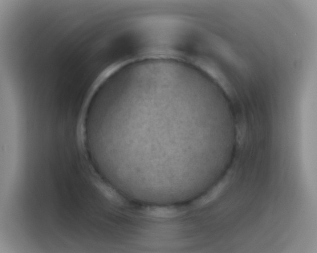 X0000114081074200910051354