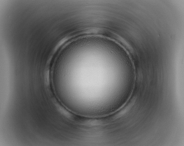 X0000114081075200910051354