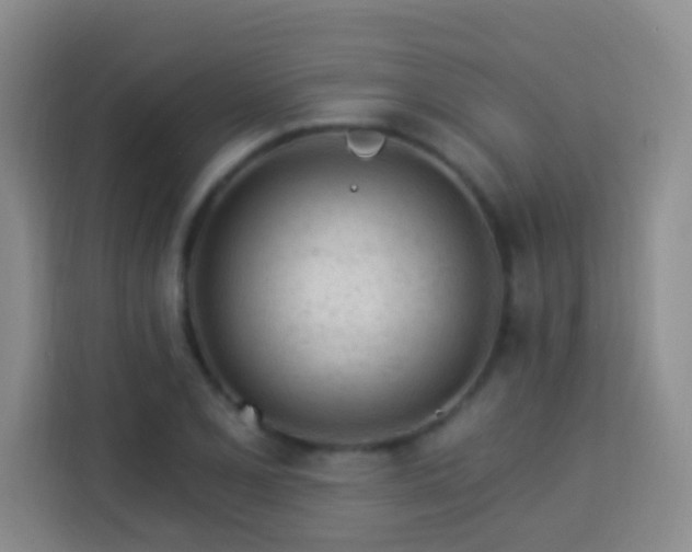 X0000114081077200910051354