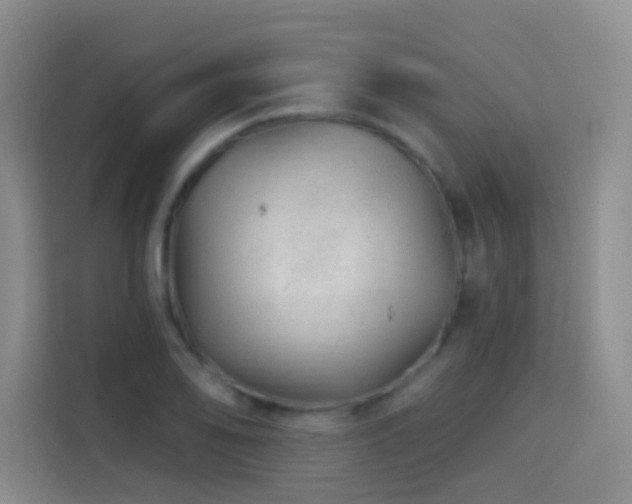 X0000114081078200910051354