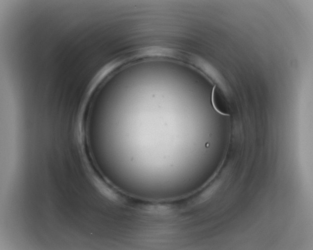 X0000114081082200910051354