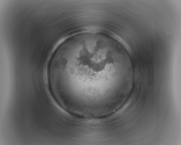 X0000114081083200910051354