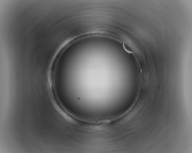 X0000114081084200910051354