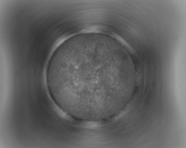 X0000114081086200910051354