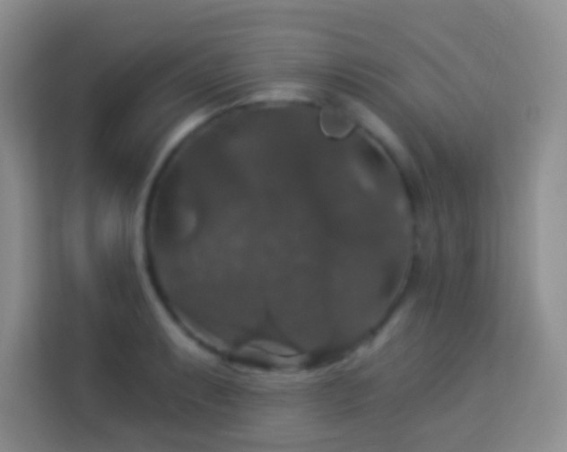 X0000114081087200910051354