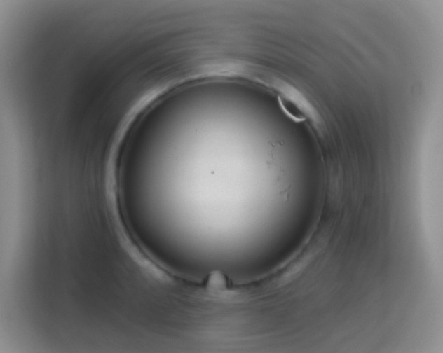 X0000114081088200910051354