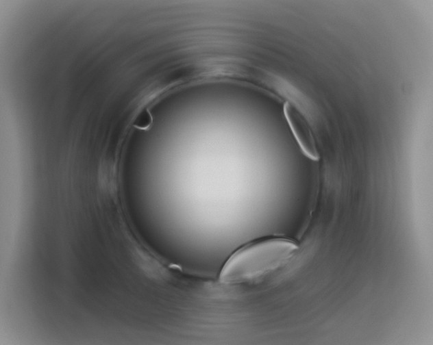 X0000114081089200910051353