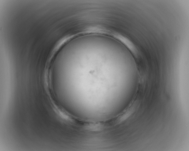 X0000114081094200910051353