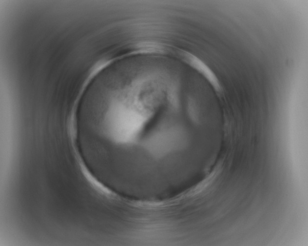 X0000114081095200910051353