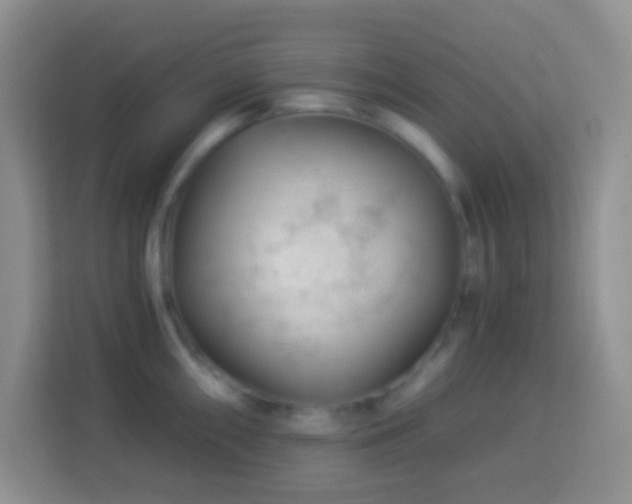 X0000114081098200910051353