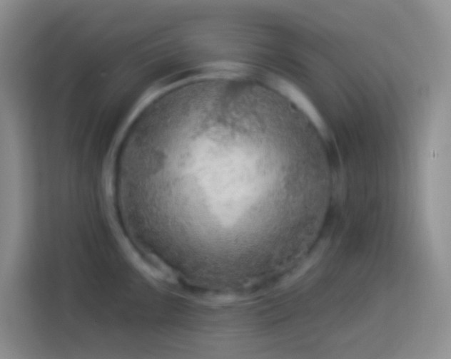 X0000114081099200910051353