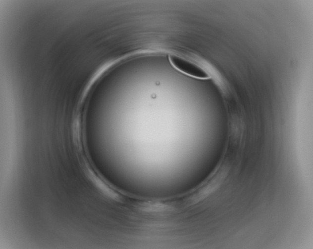 X0000114081100200910051353