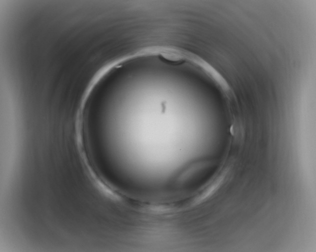 X0000114081102200910051353