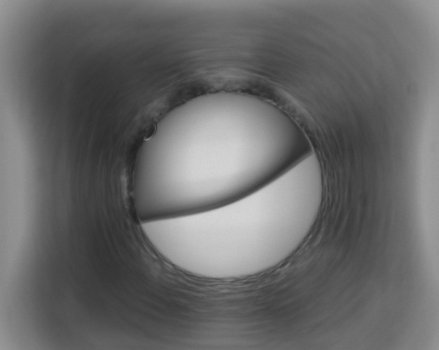 X0000114081108200910051353